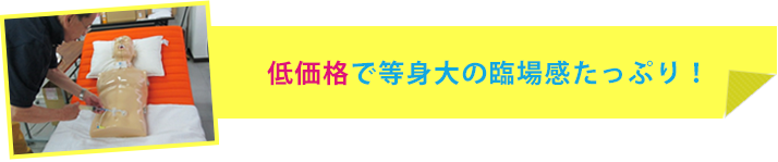 低価格で等身大の臨場感たっぷり